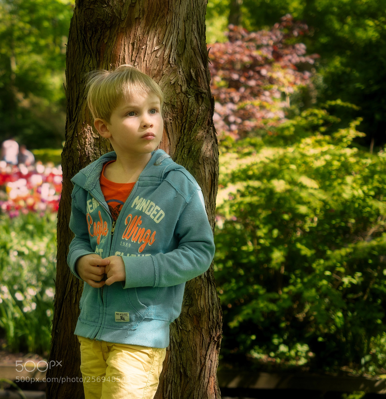 Olympus OM-D E-M5 II sample photo. Summer midday's dream / Летние мечты photography