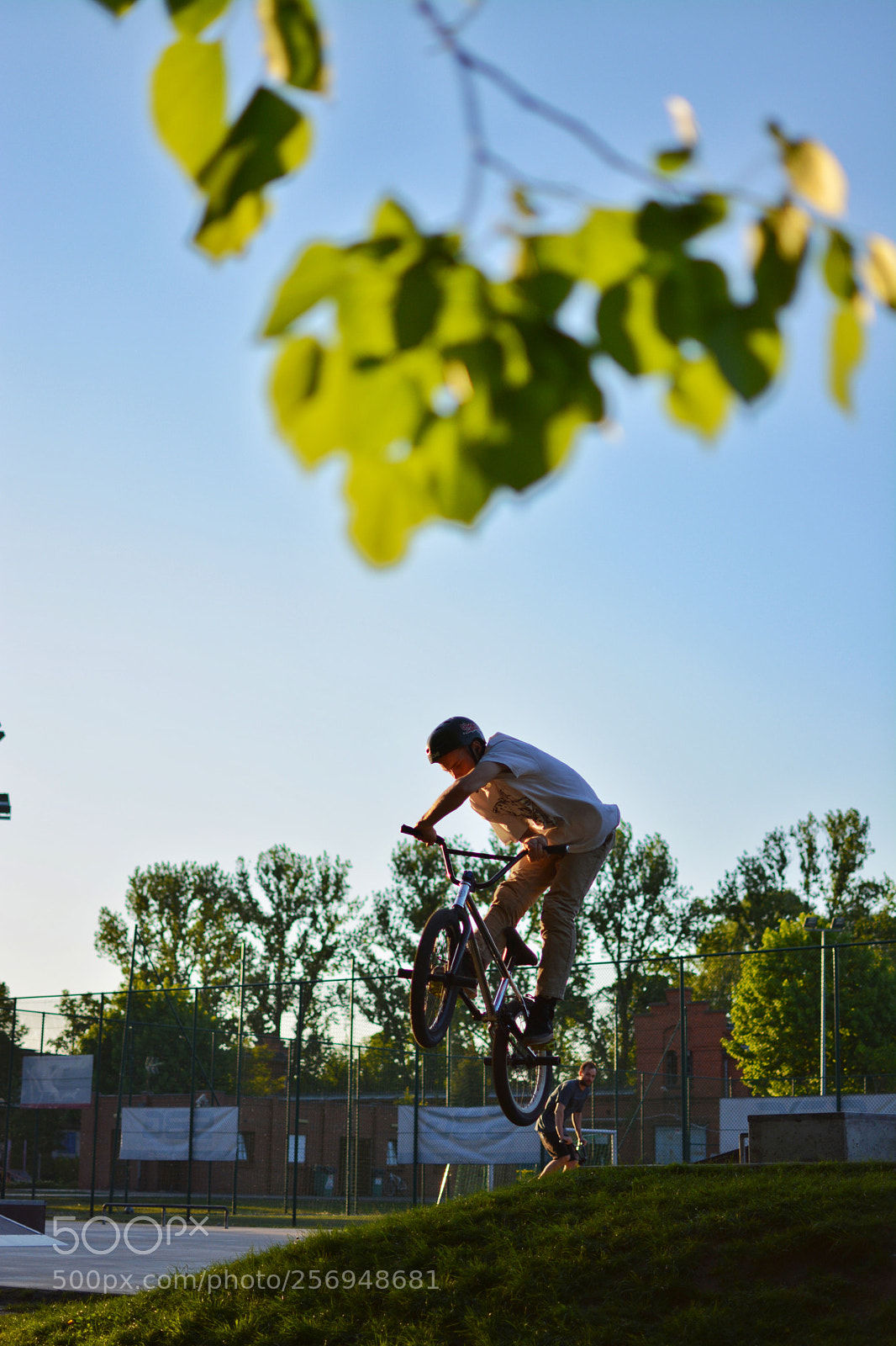 Nikon D5200 sample photo. X-up photography