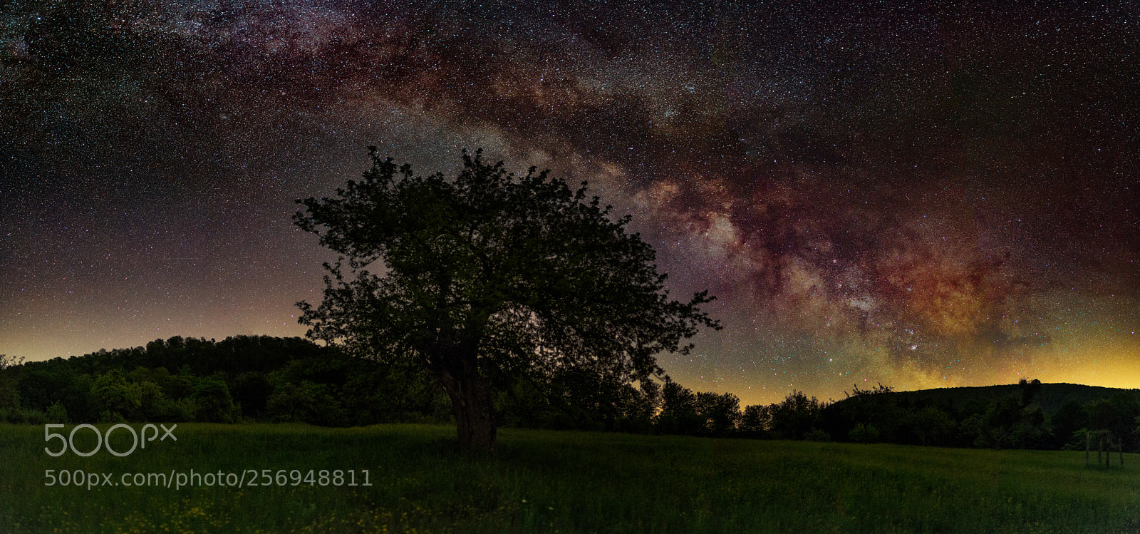 Nikon D850 sample photo. Milky way photography