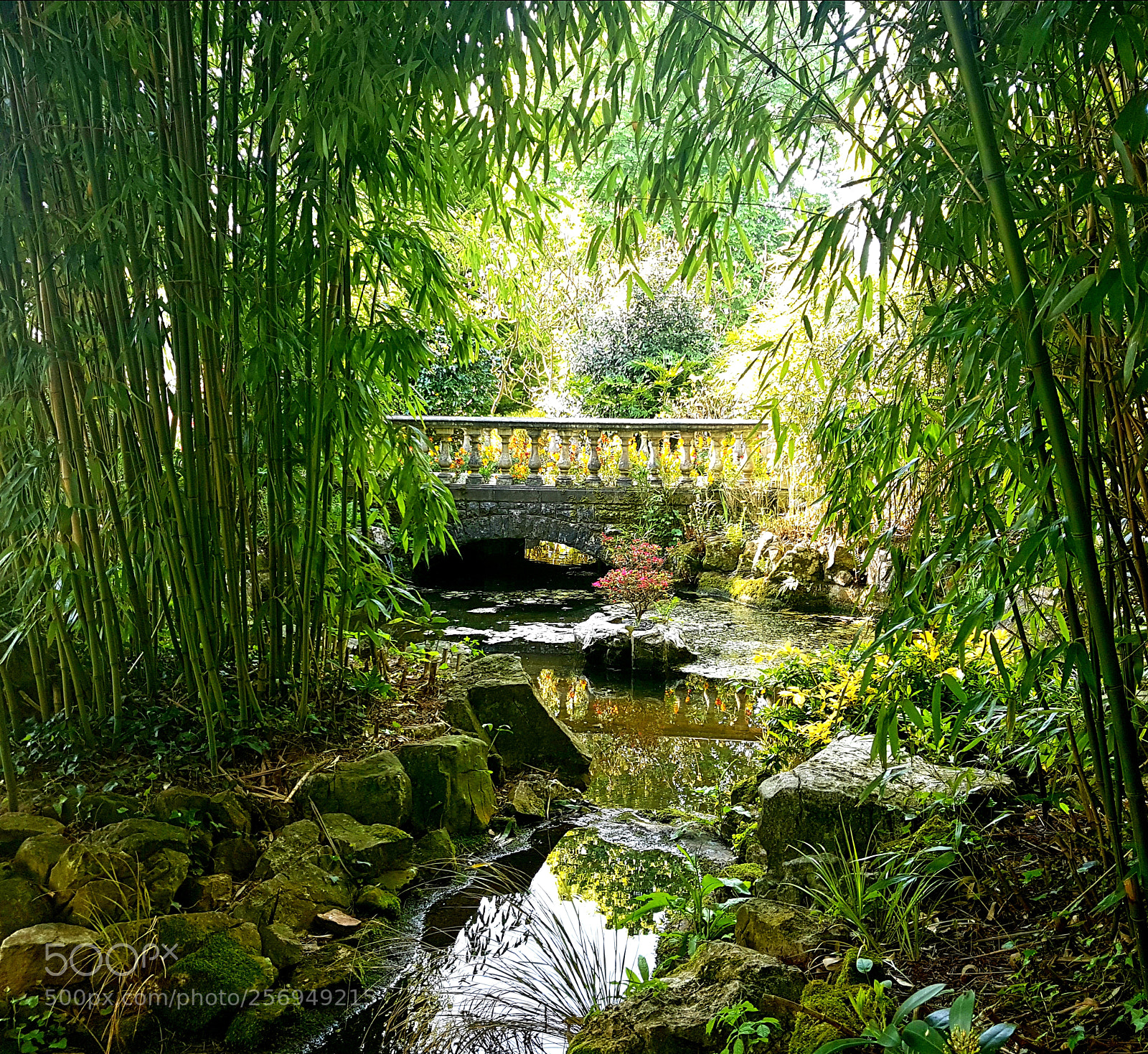 Samsung Galaxy S7 sample photo. Dewstow gardens photography