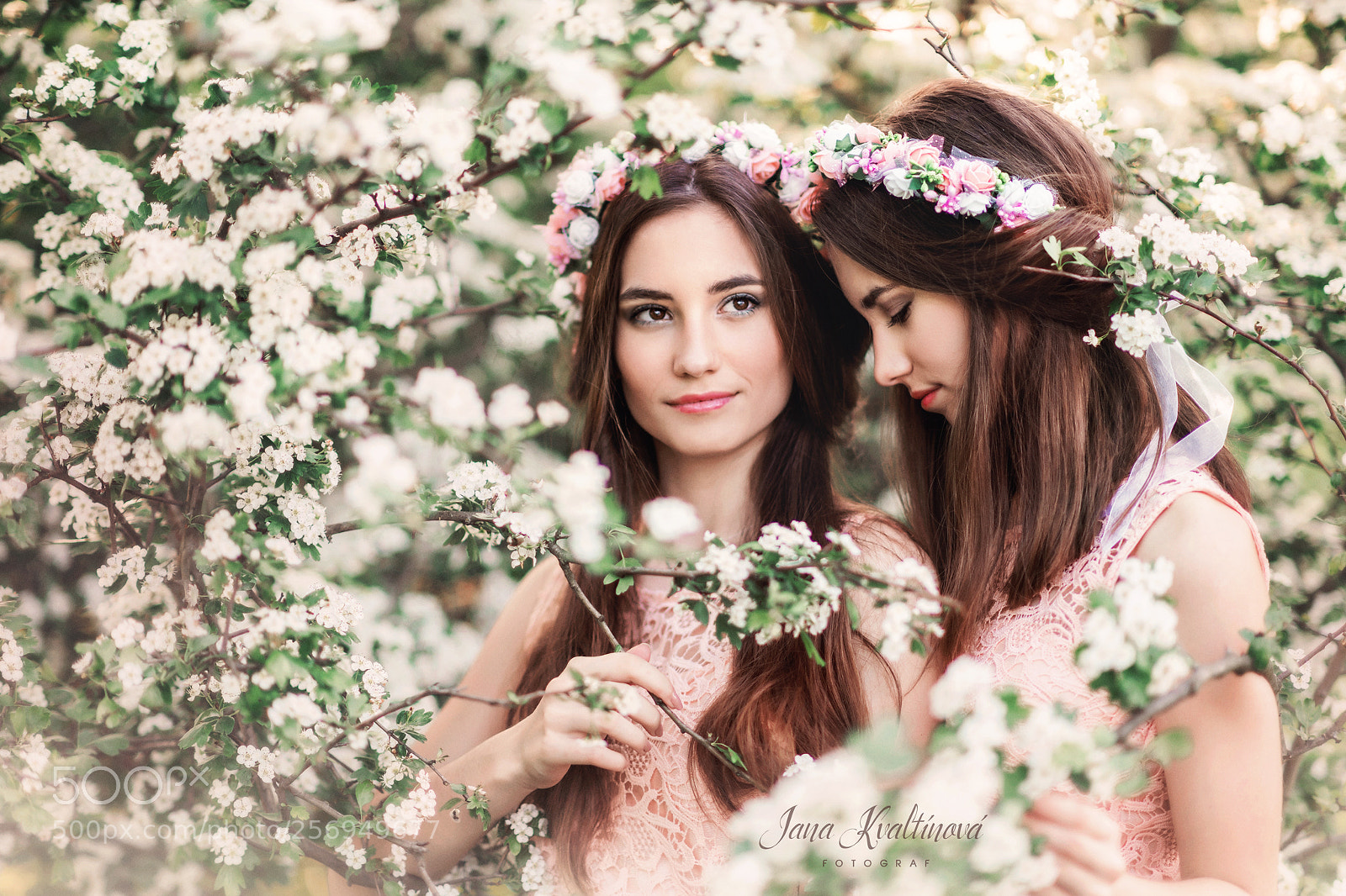 Nikon D850 sample photo. Sisters photography