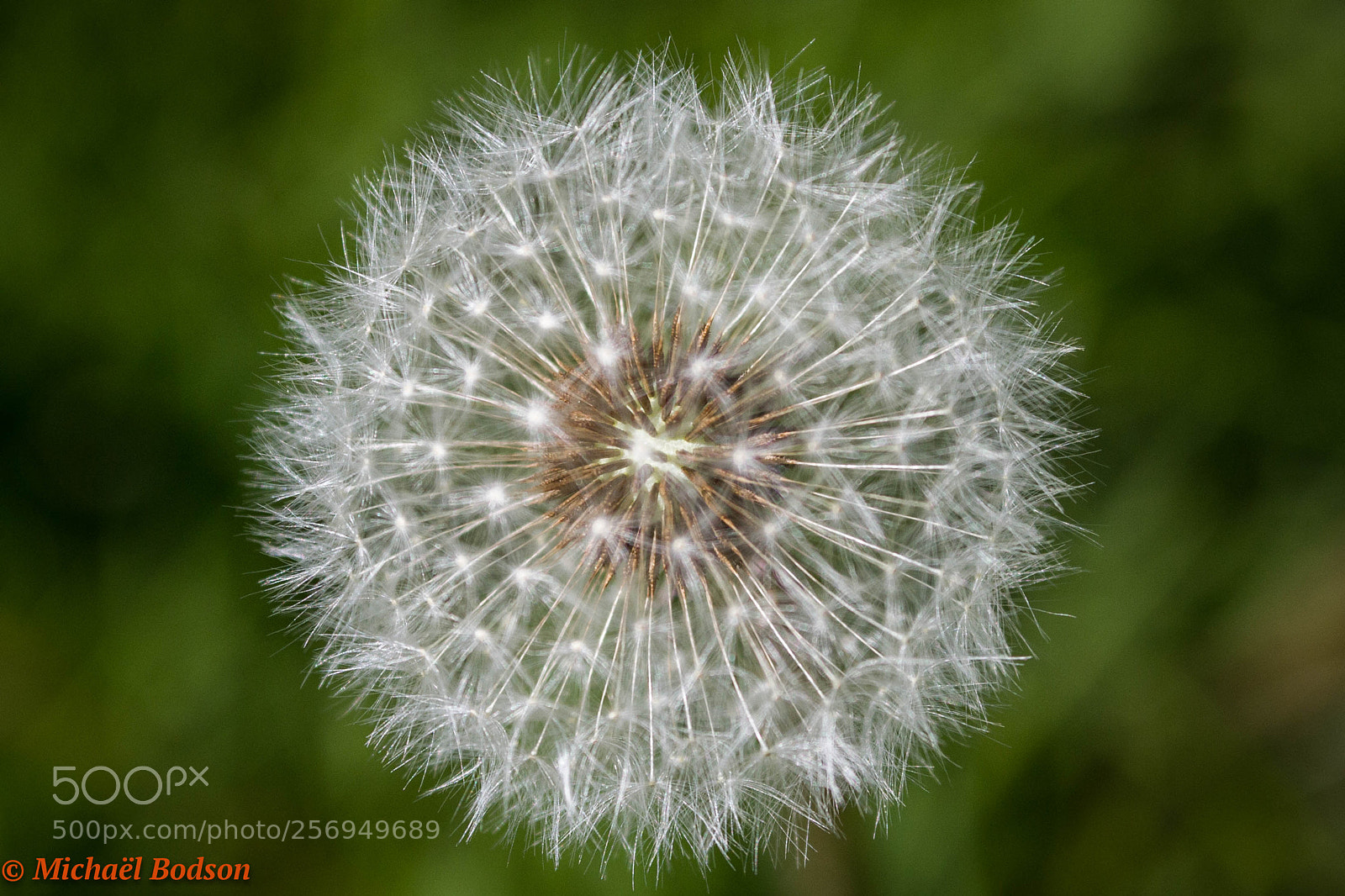 Canon EOS 7D sample photo. Transparence photography