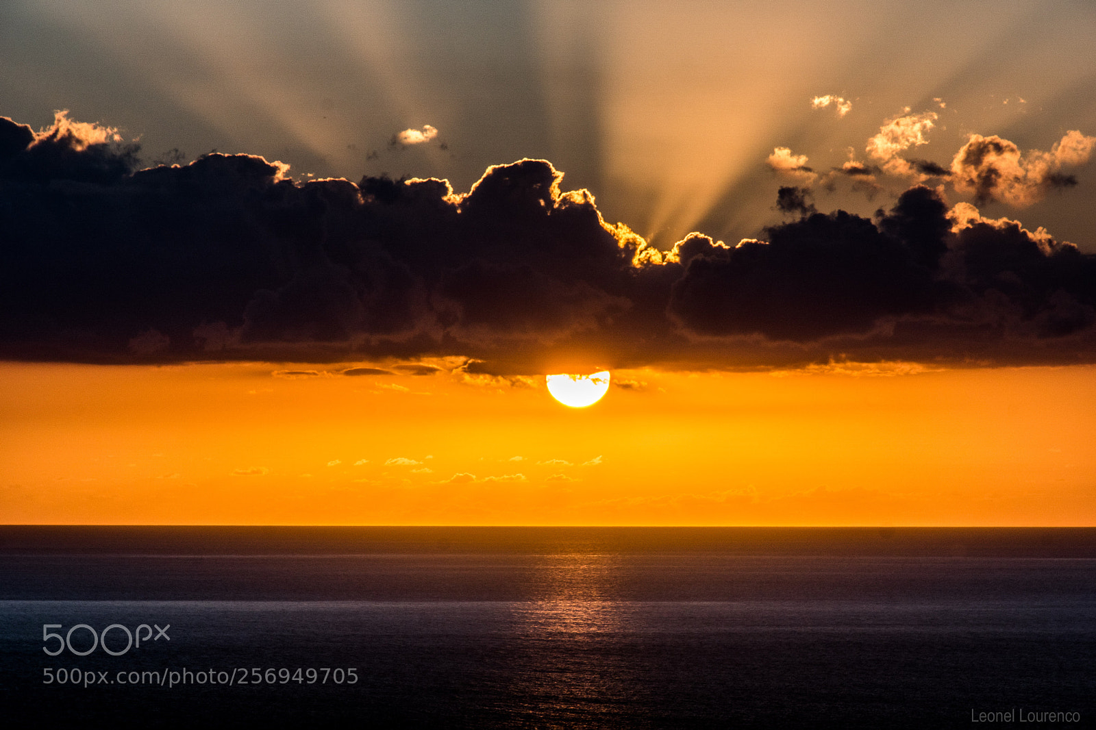 Sony ILCA-77M2 sample photo. Orange rays photography