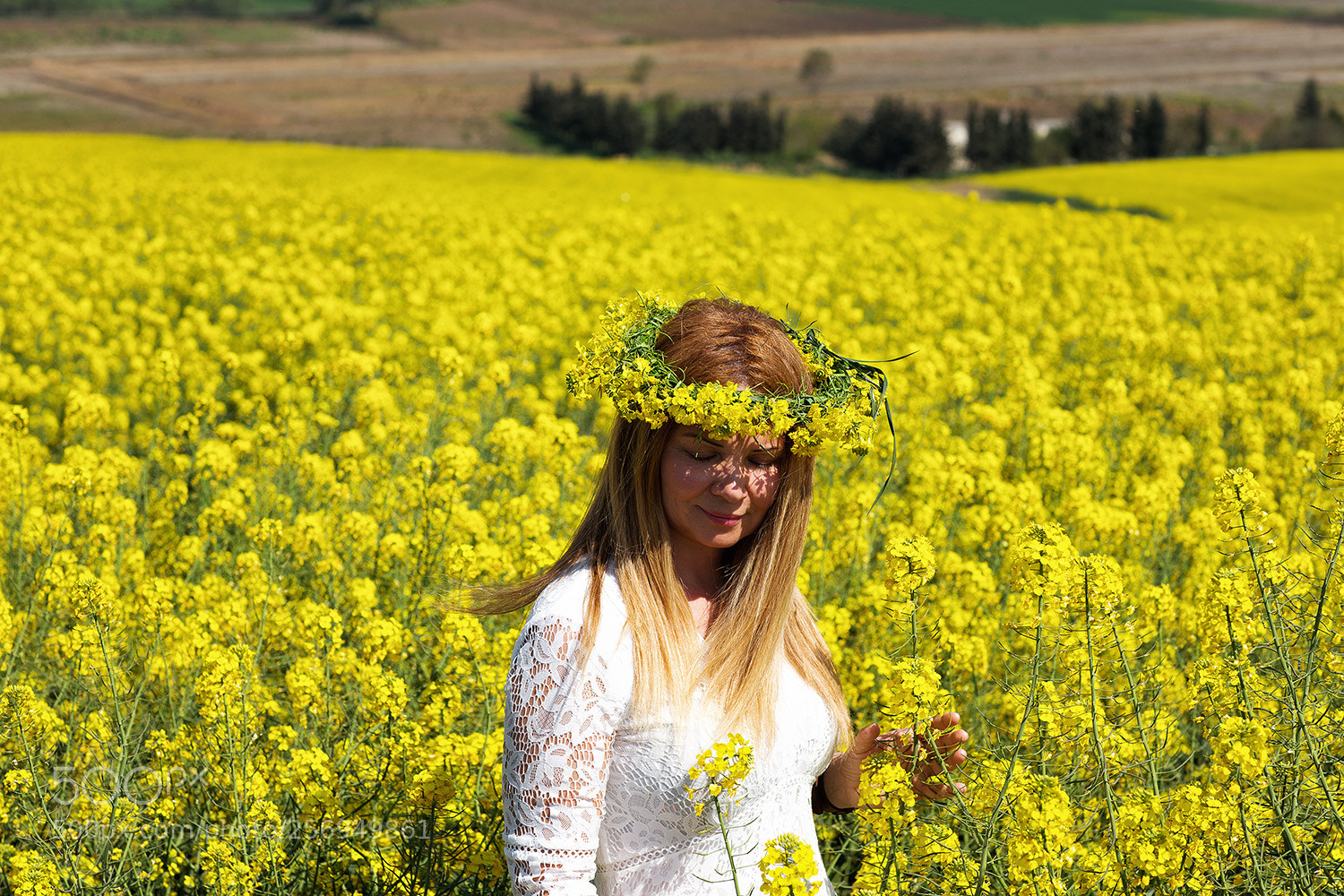 Canon EOS-1D X sample photo. Untitled photography