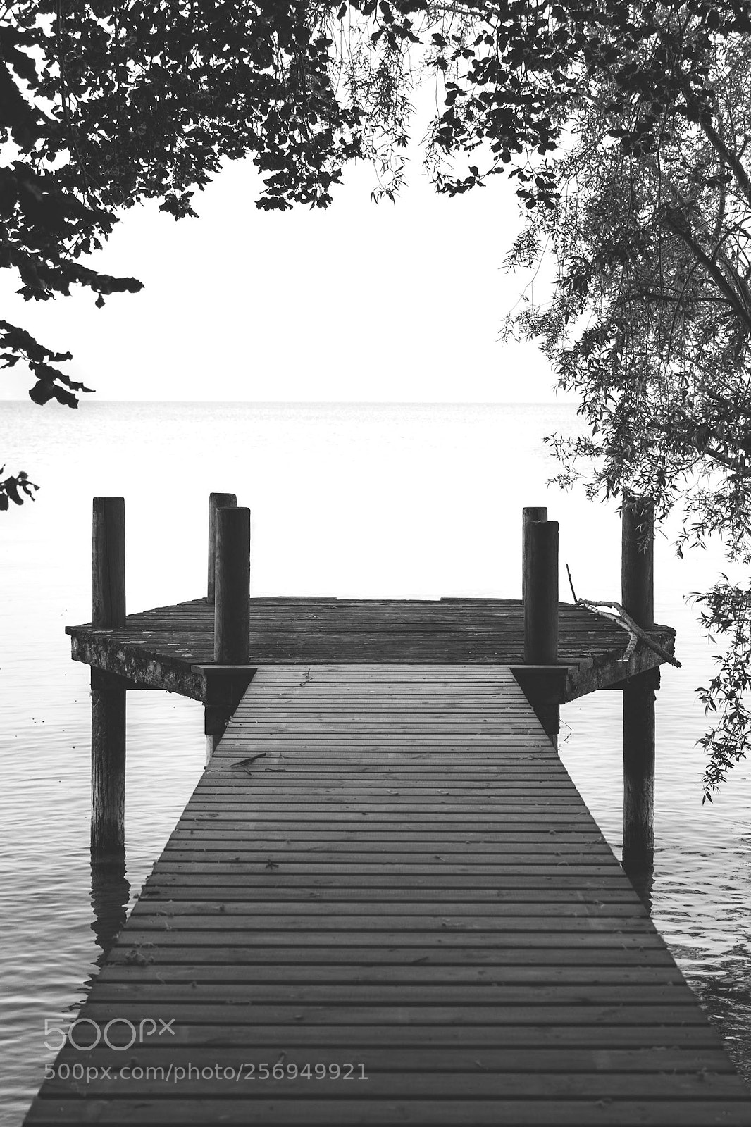 Nikon D7200 sample photo. Paradise photography