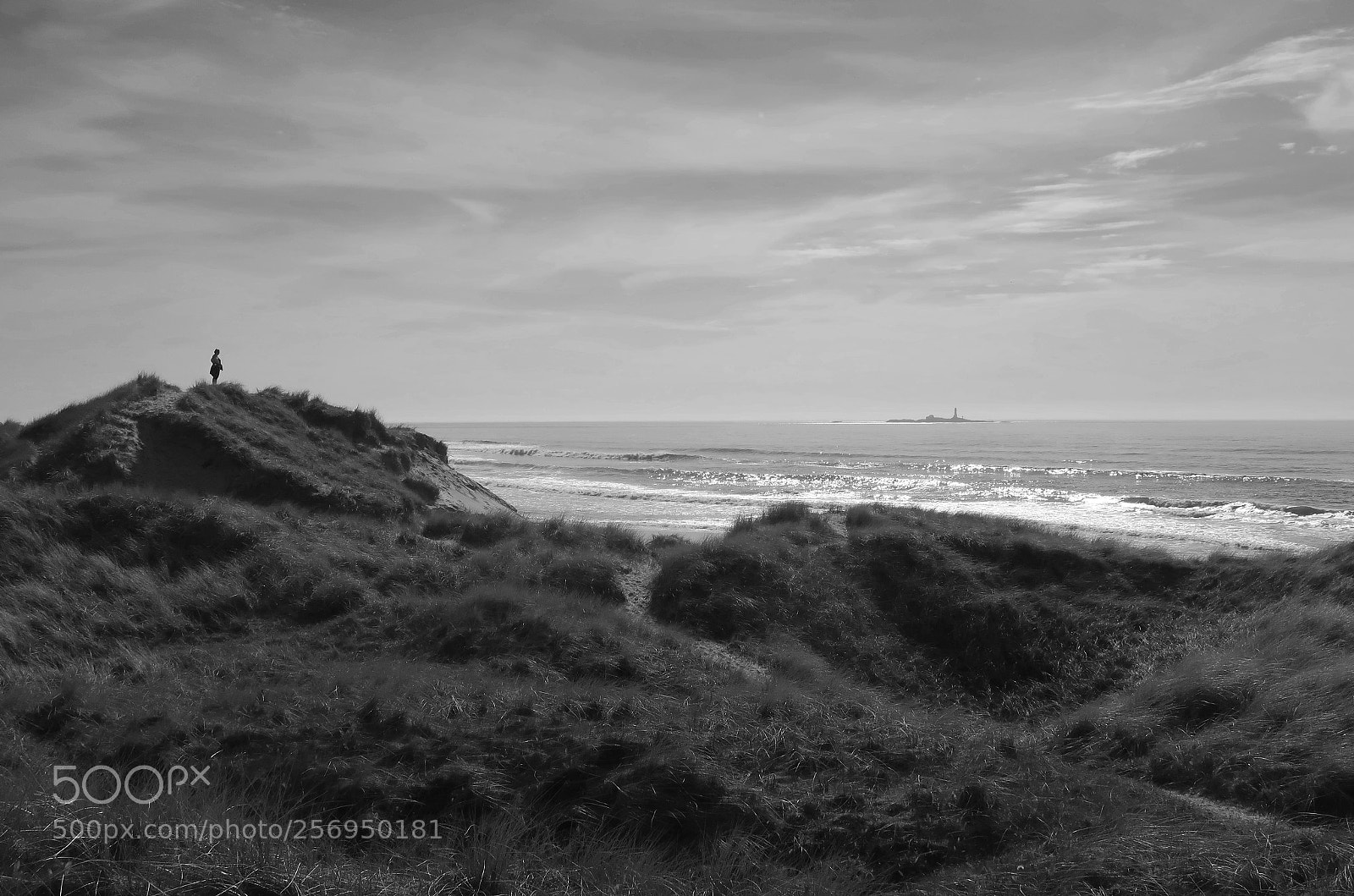 Canon PowerShot G7 X Mark II sample photo. Beach day in may photography