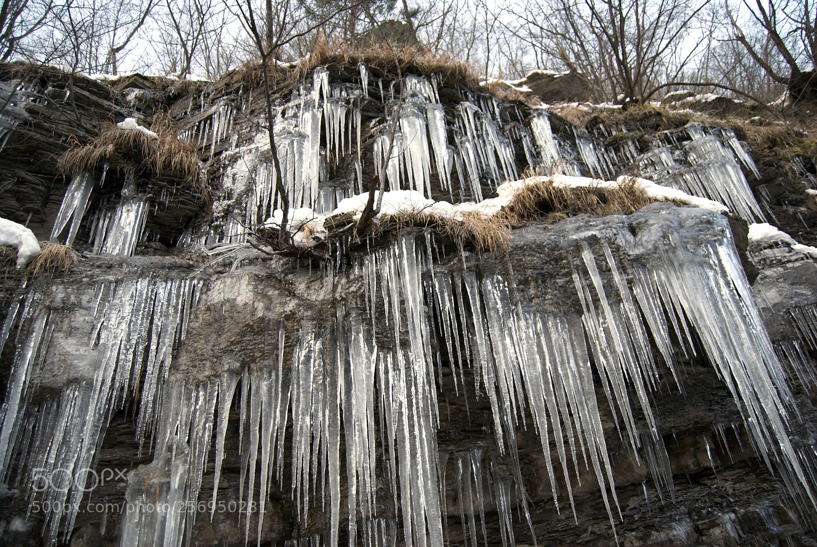 Nikon D60 sample photo. Version photography