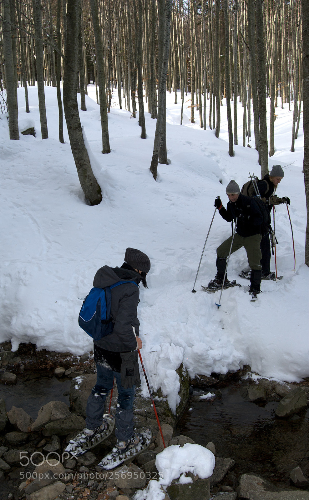 Nikon D60 sample photo. Version photography