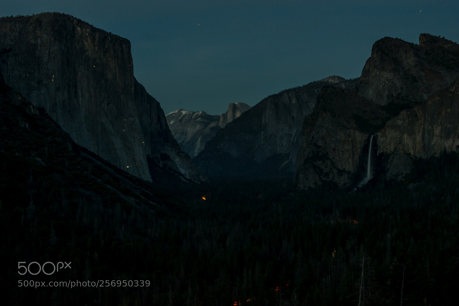 Nikon D800 sample photo. Night in the big photography