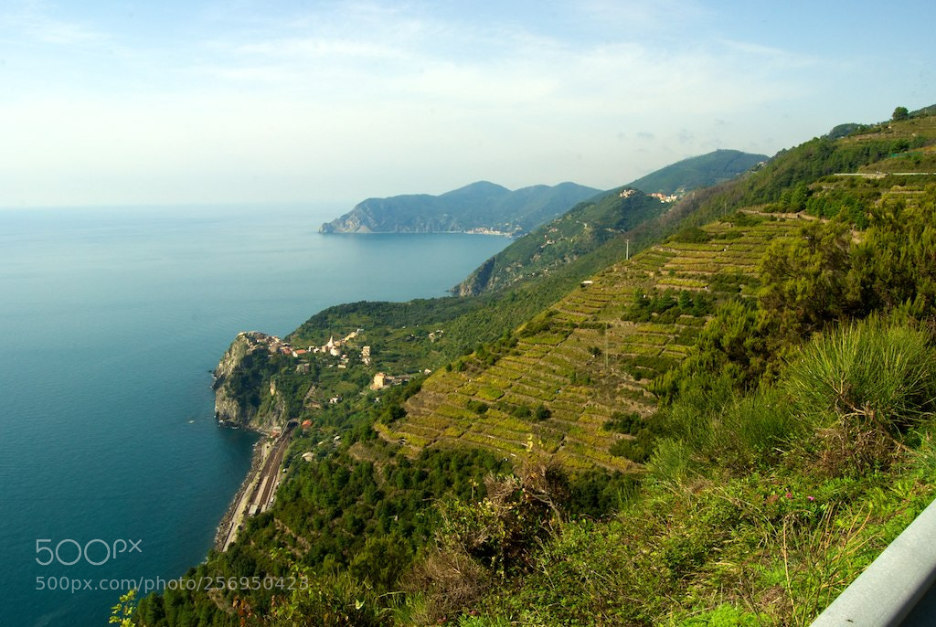 Nikon D60 sample photo. Corniglia () photography