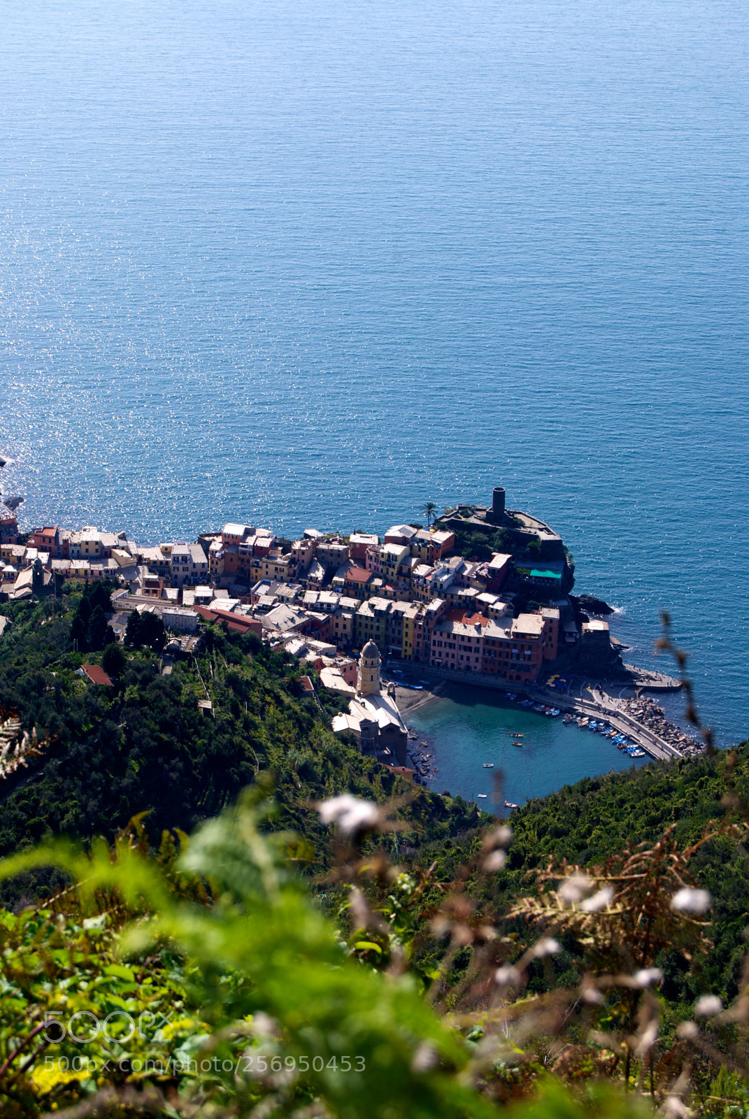 Nikon D60 sample photo. Vernazza () photography