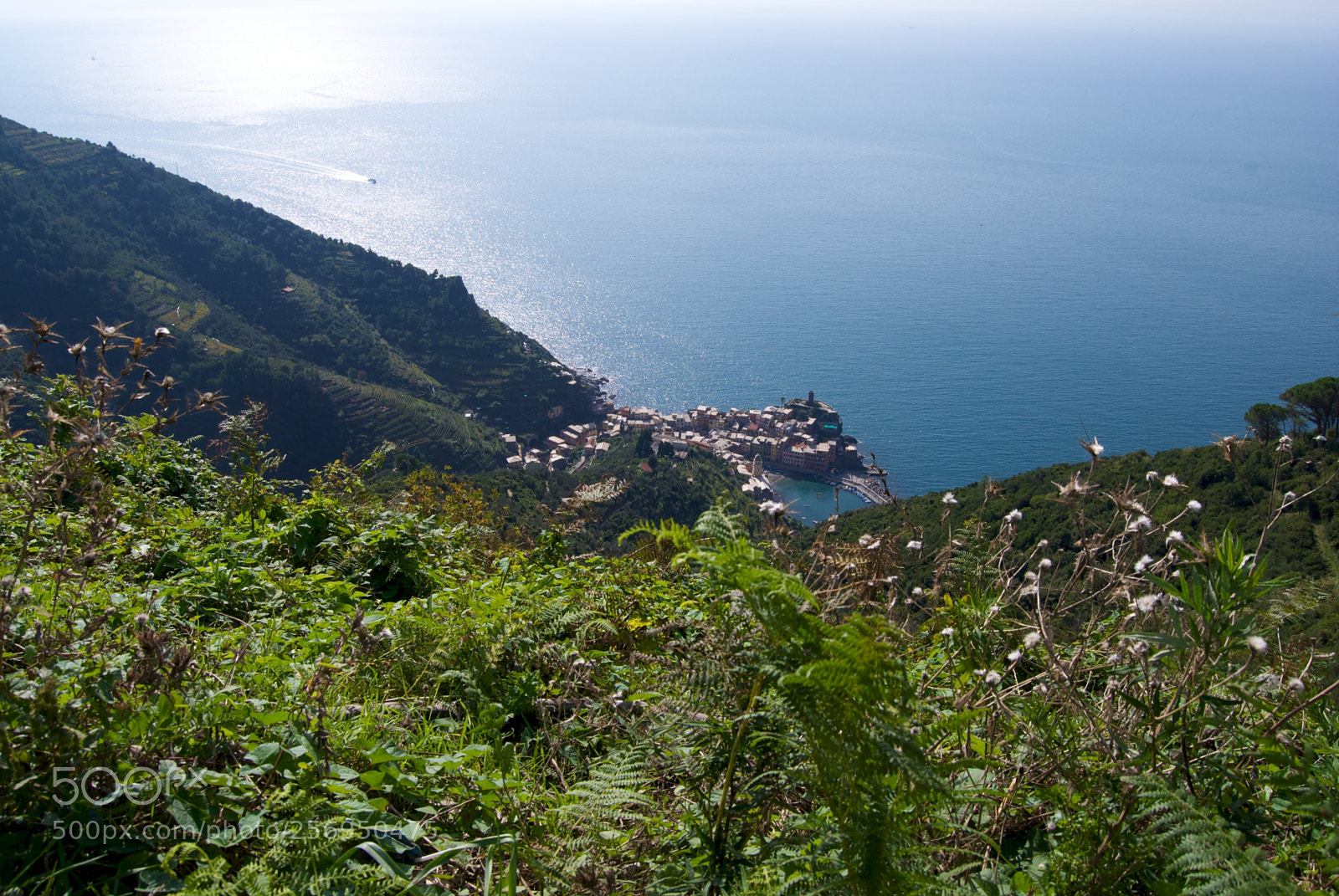 Nikon D60 sample photo. Vernazza photography