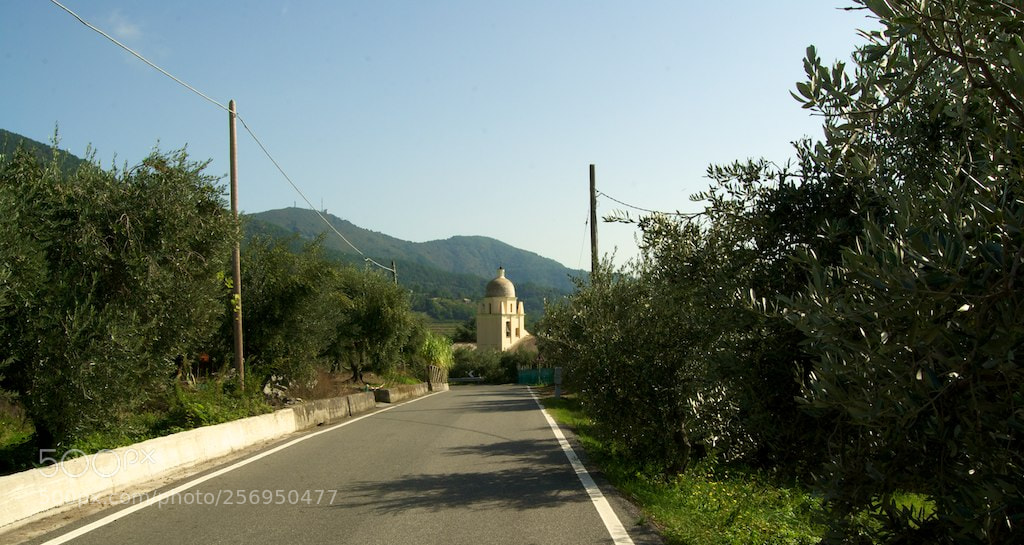 Nikon D60 sample photo. Volastra photography