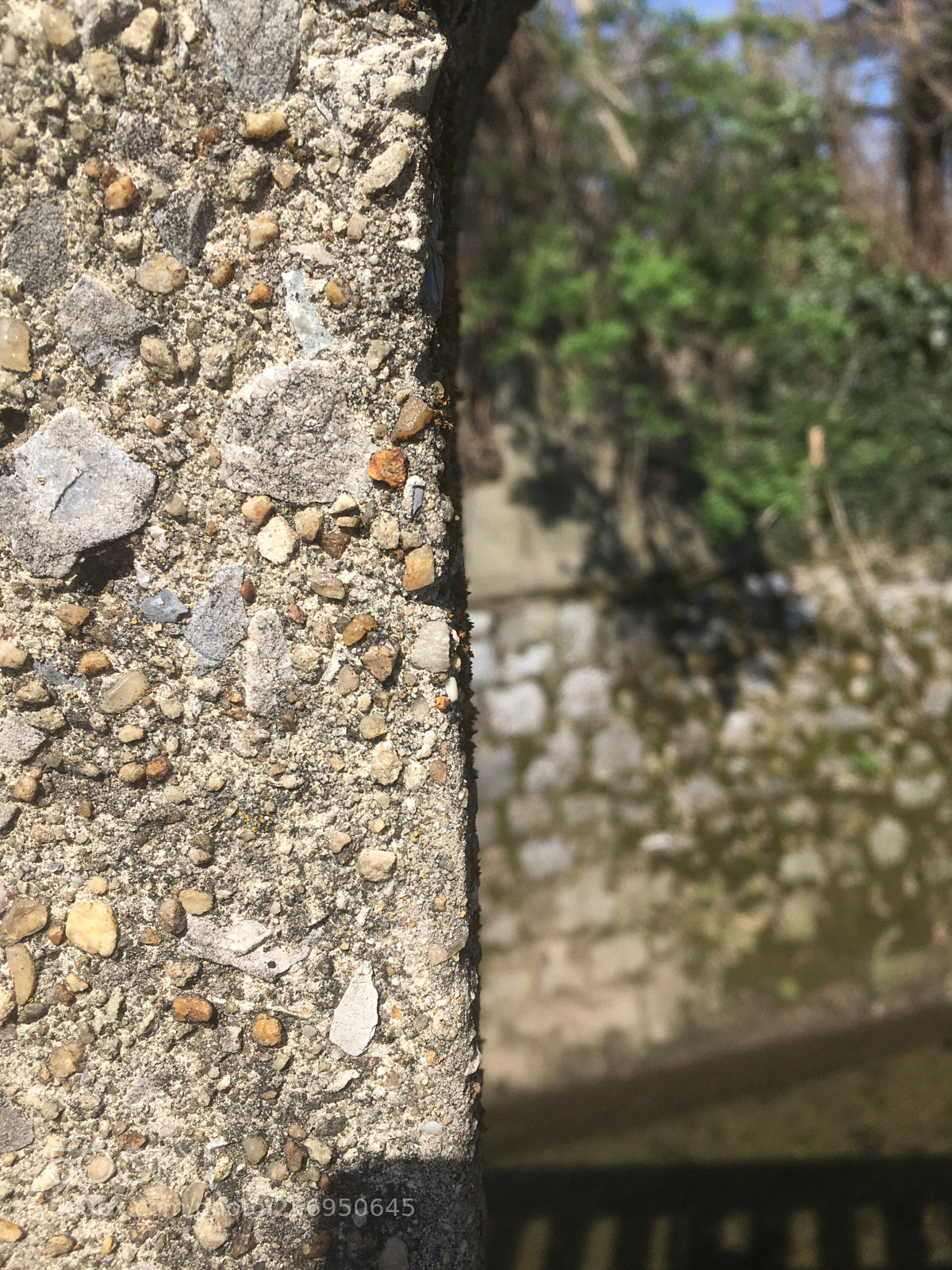 Apple iPhone SE sample photo. Untitled photography