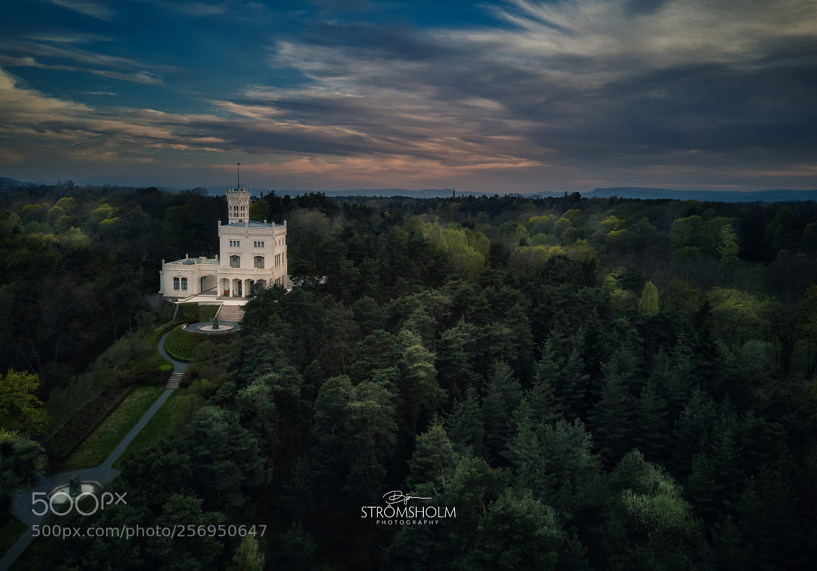 DJI FC220 sample photo. In the woods photography