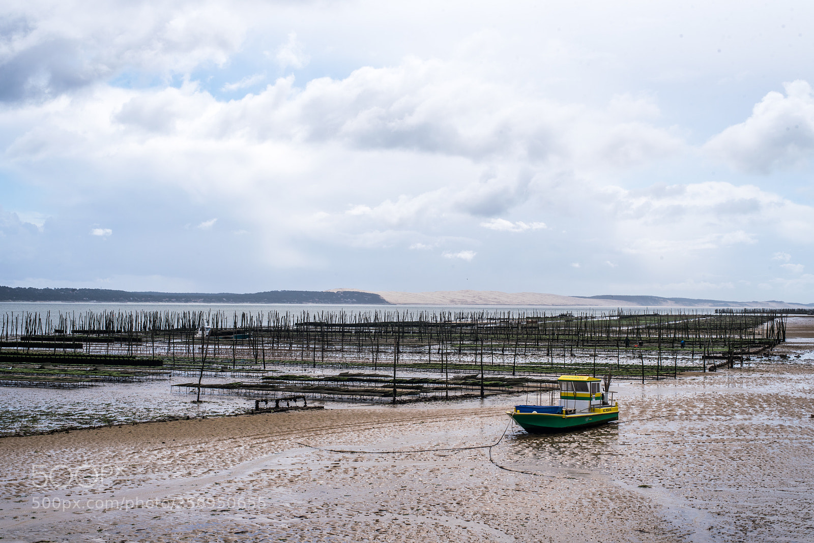 Nikon D750 sample photo. Bassin d'arcachon photography
