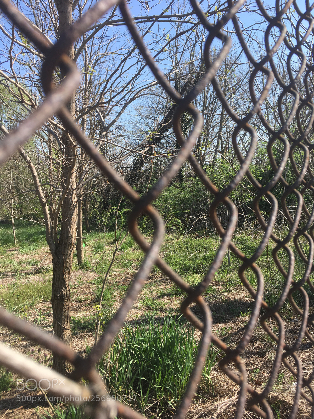 Apple iPhone SE sample photo. Untitled photography