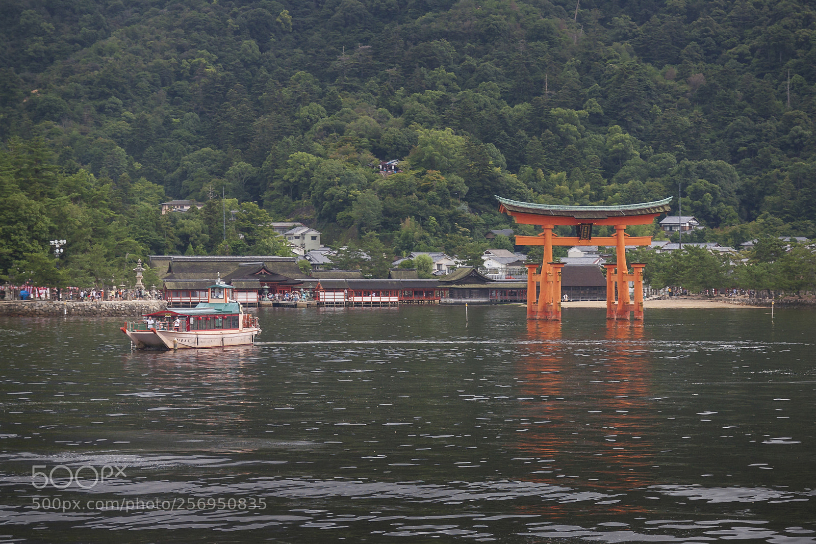 Canon EOS 450D (EOS Rebel XSi / EOS Kiss X2) sample photo. The geat torii of photography