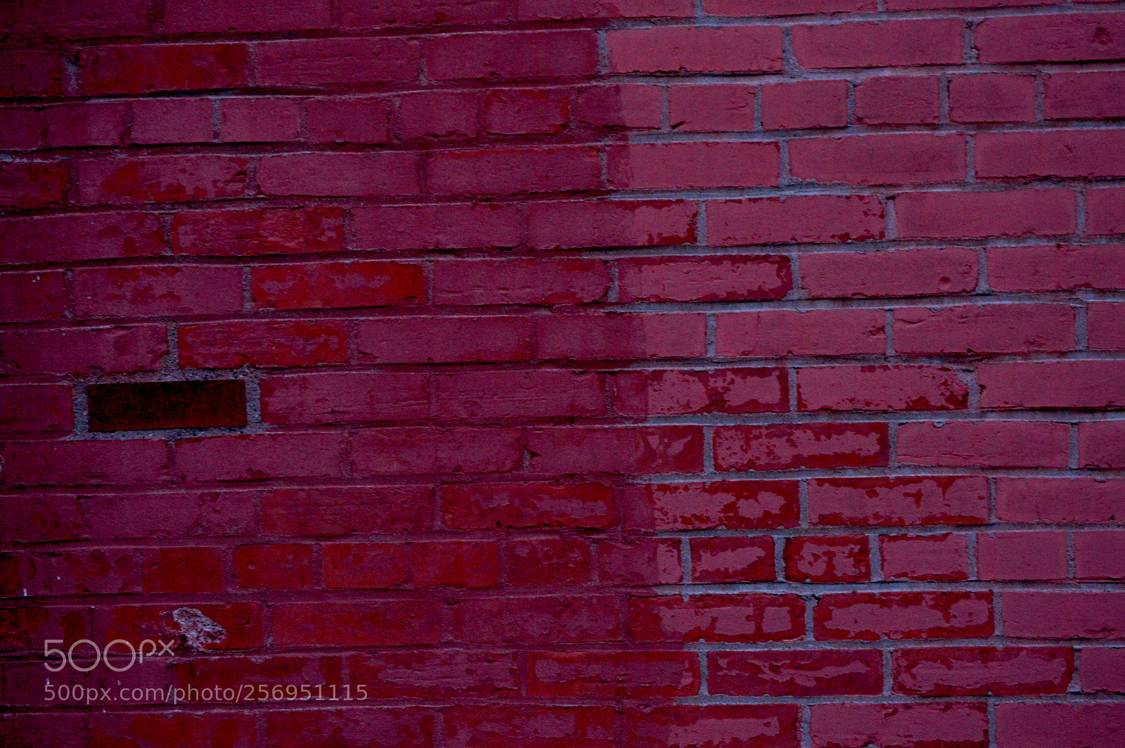 Nikon D3200 sample photo. Brickwall photography