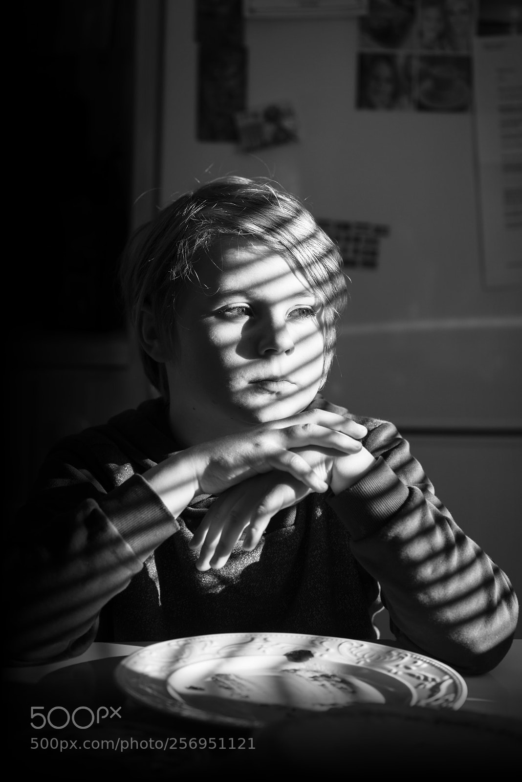 Nikon D750 sample photo. Side light photography