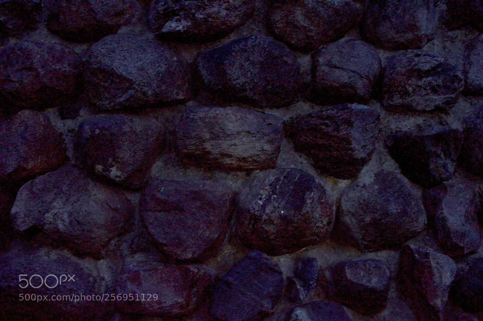 Nikon D3200 sample photo. Rockwall photography