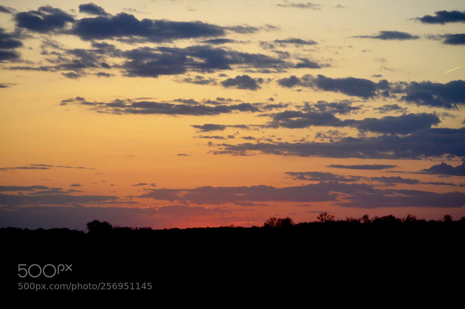 Nikon D3200 sample photo. Sunset photography