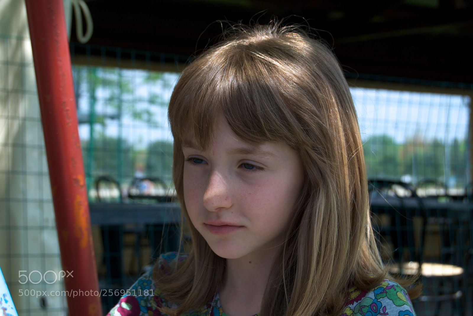 Nikon D60 sample photo. Version photography