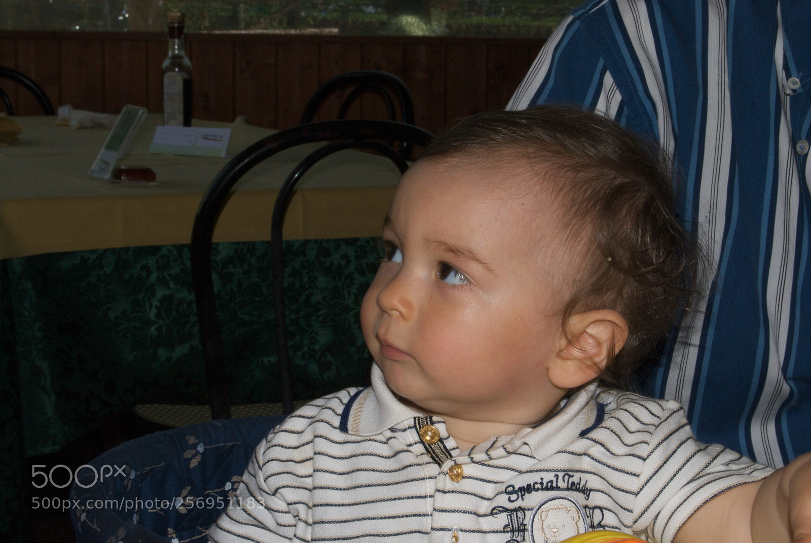Nikon D60 sample photo. Version photography