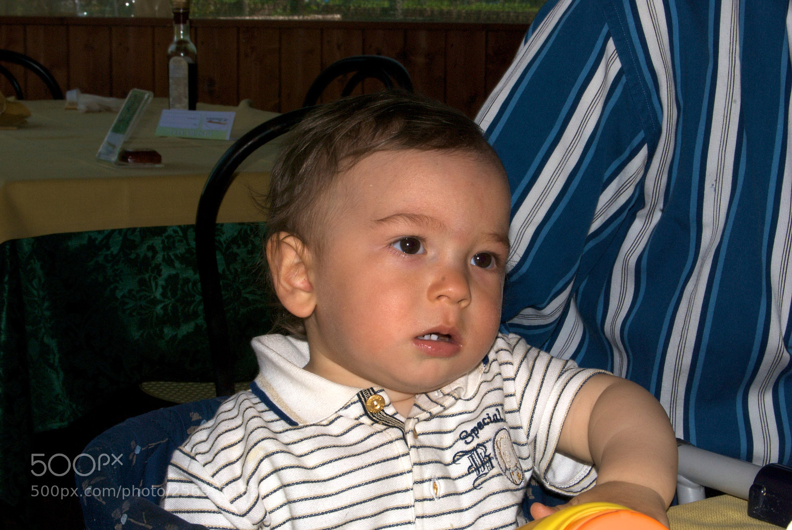 Nikon D60 sample photo. Version photography