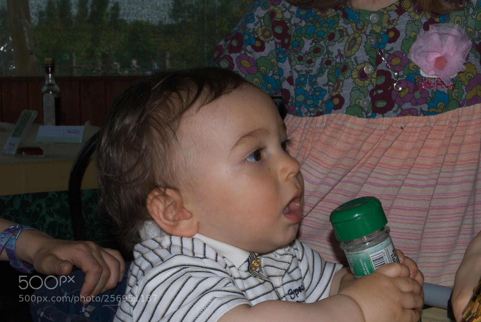 Nikon D60 sample photo. Version photography