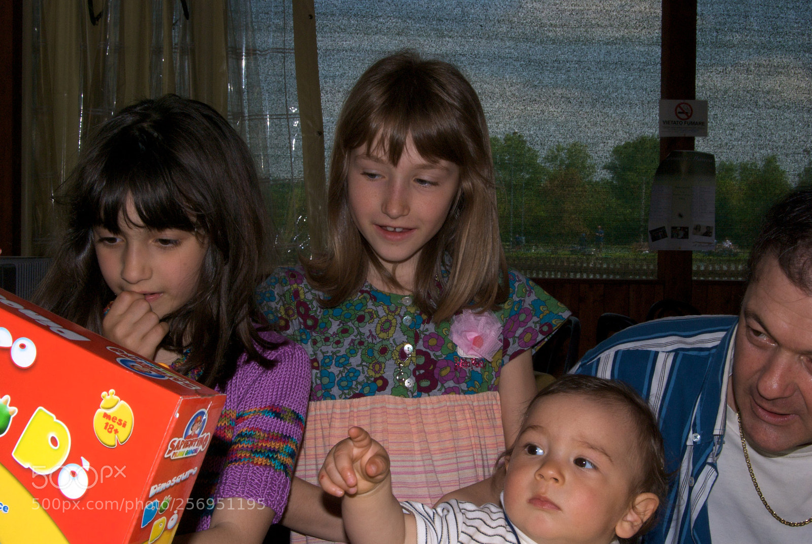 Nikon D60 sample photo. Version photography