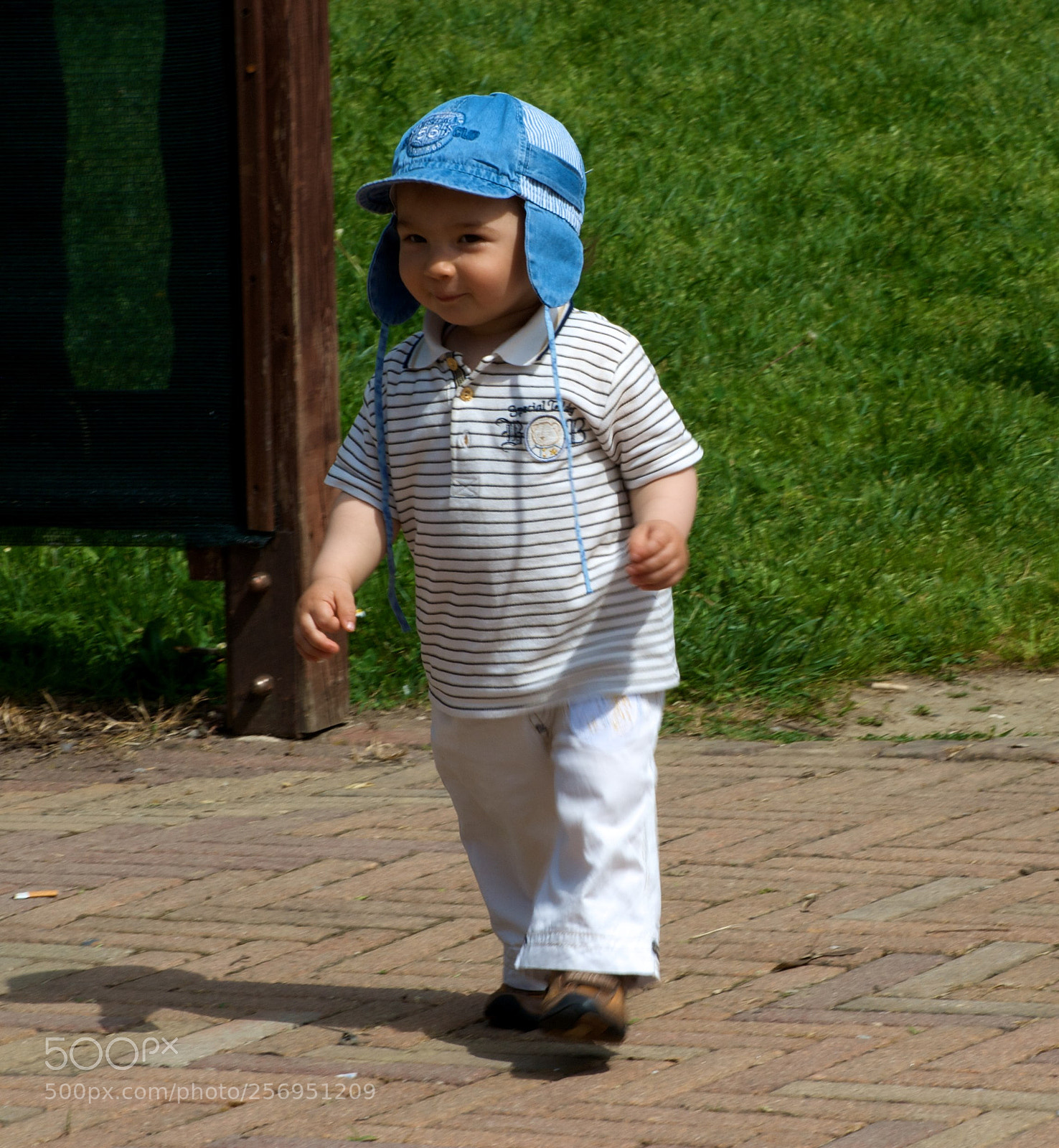 Nikon D60 sample photo. Version photography