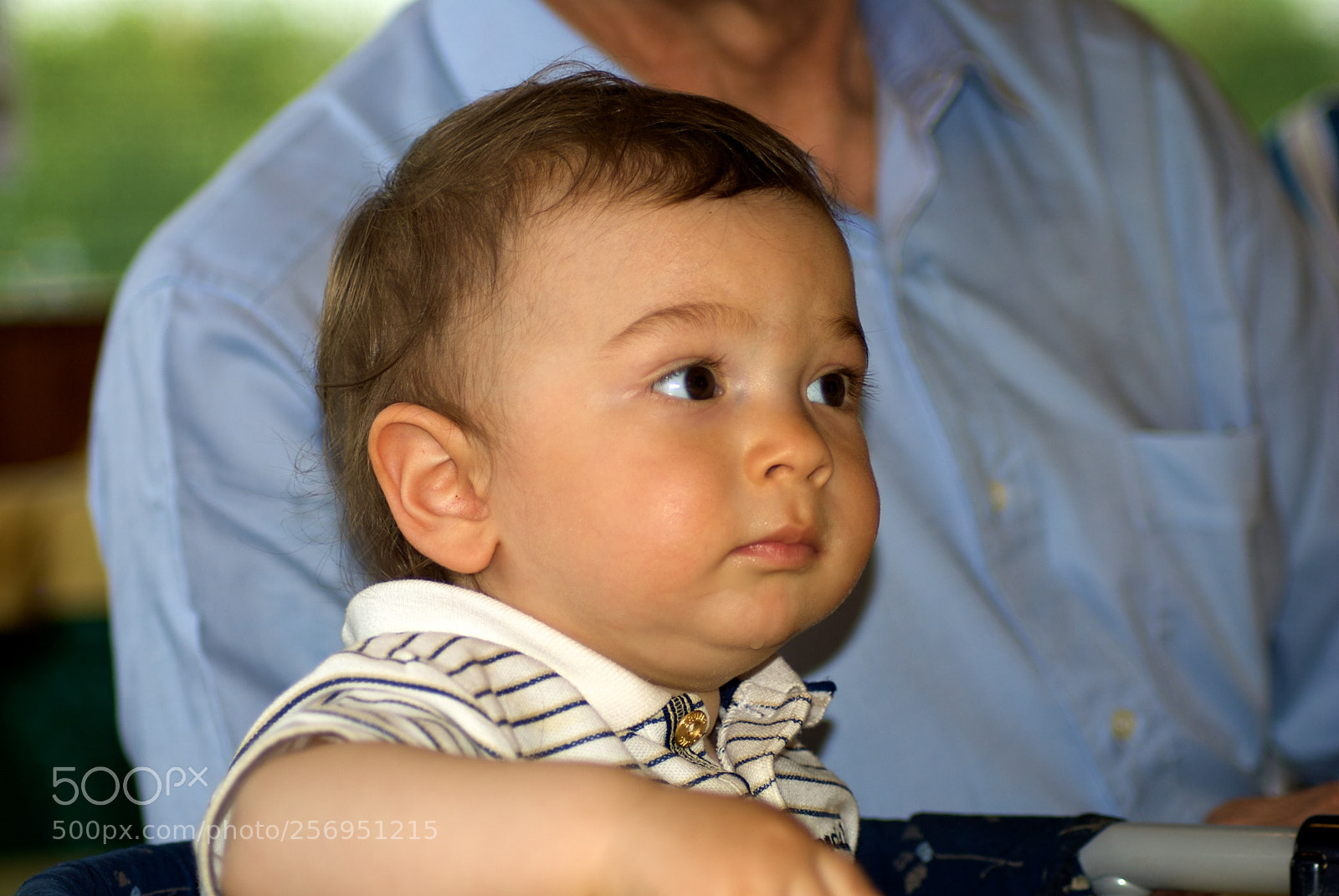 Nikon D60 sample photo. Version photography