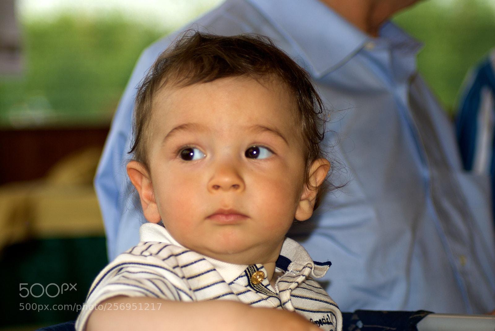 Nikon D60 sample photo. Version photography