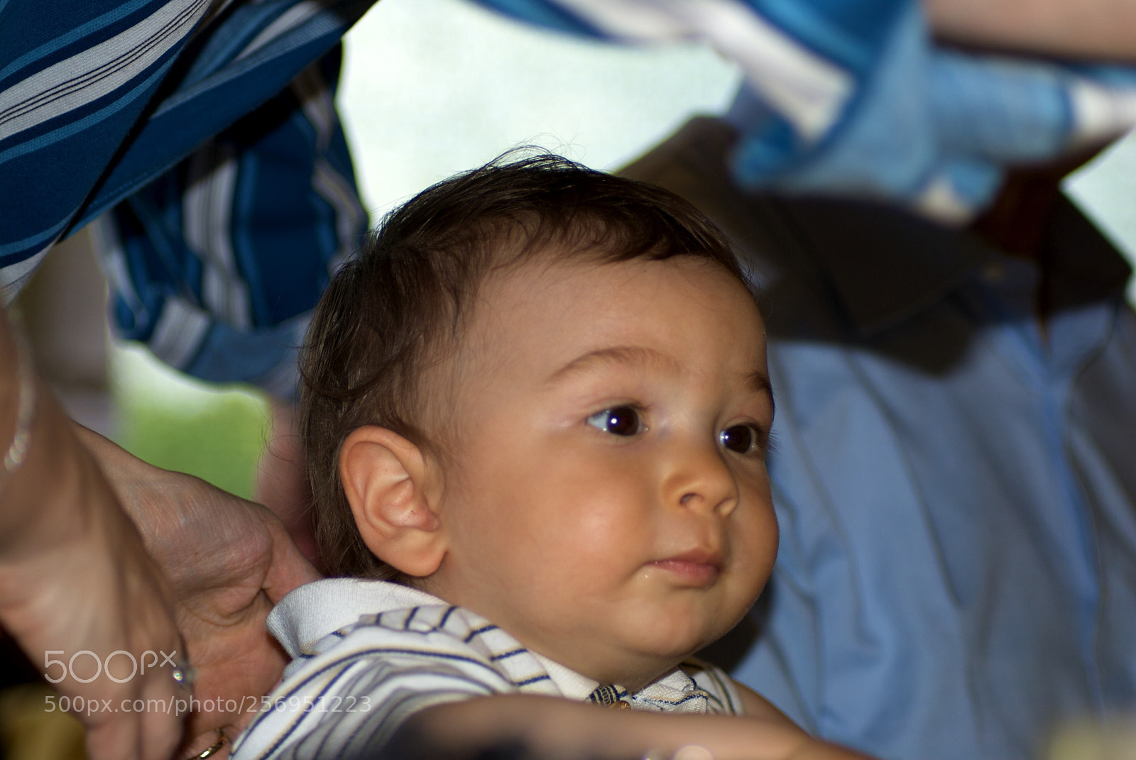 Nikon D60 sample photo. Version photography