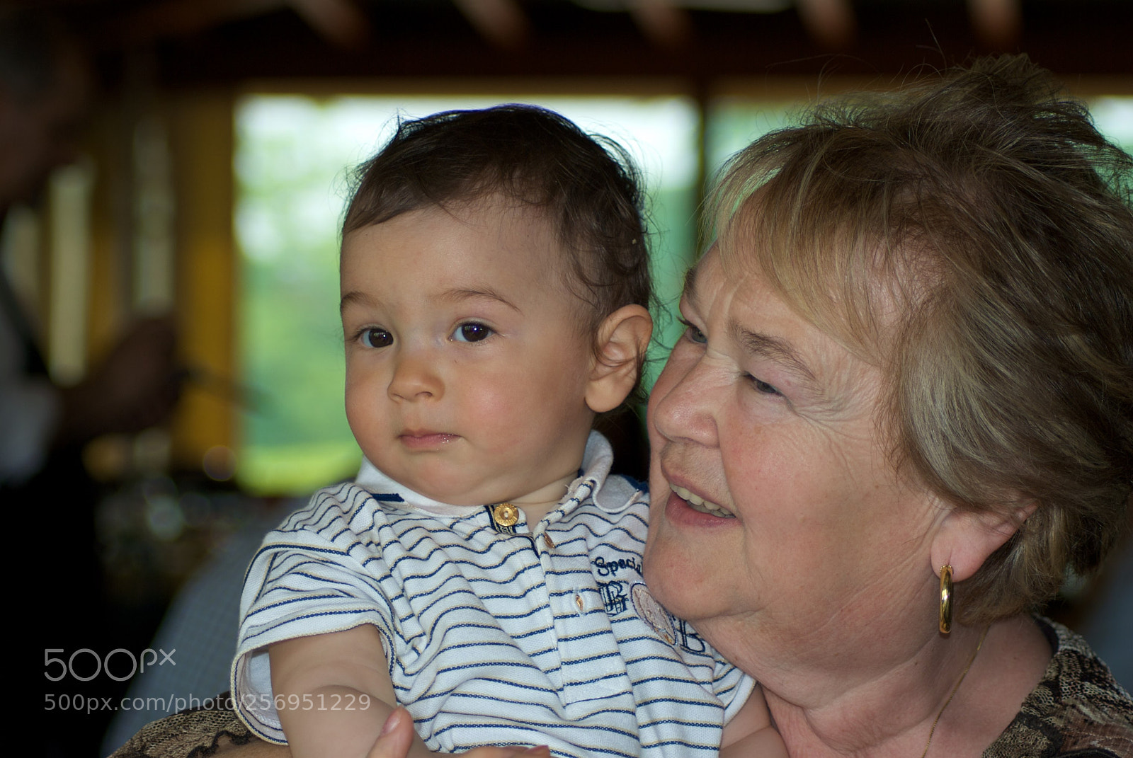 Nikon D60 sample photo. Version photography