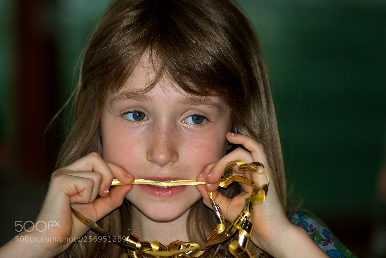 Nikon D60 sample photo. Version photography