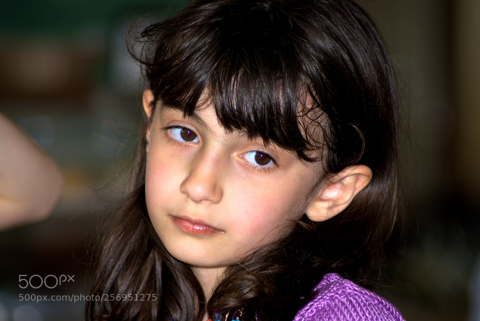 Nikon D60 sample photo. Version photography