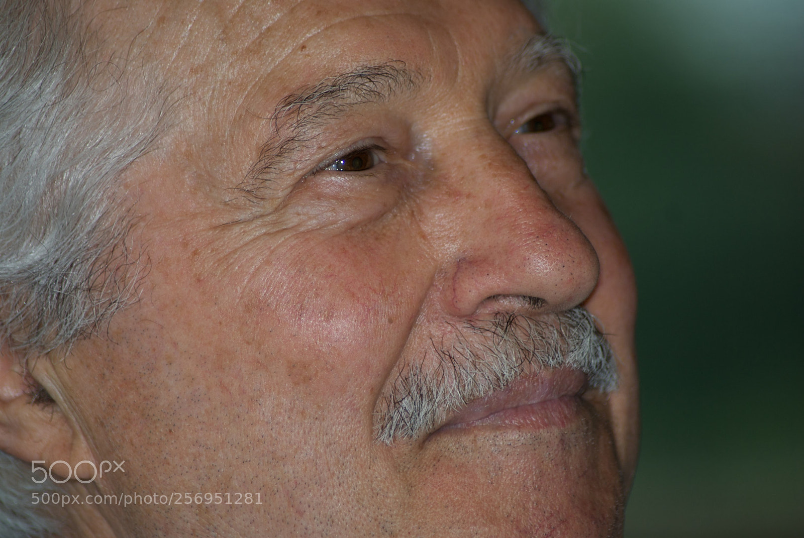 Nikon D60 sample photo. Version photography