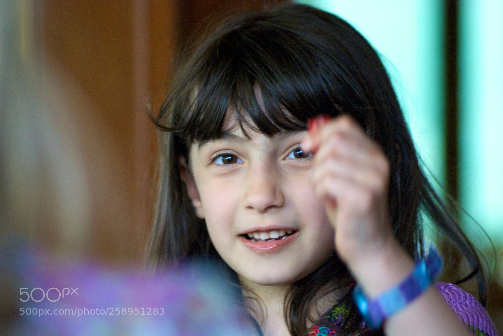 Nikon D60 sample photo. Version photography