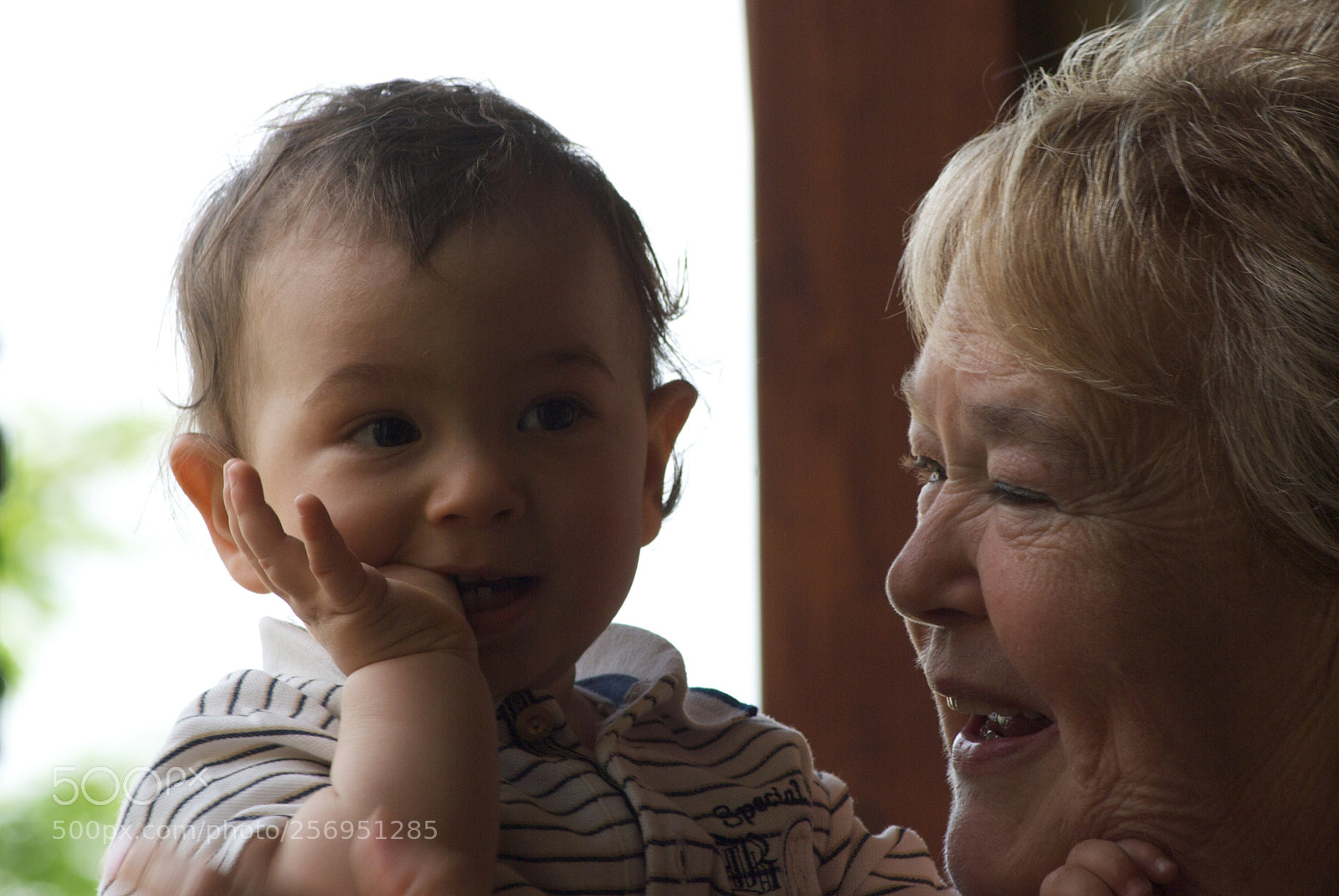 Nikon D60 sample photo. Version photography