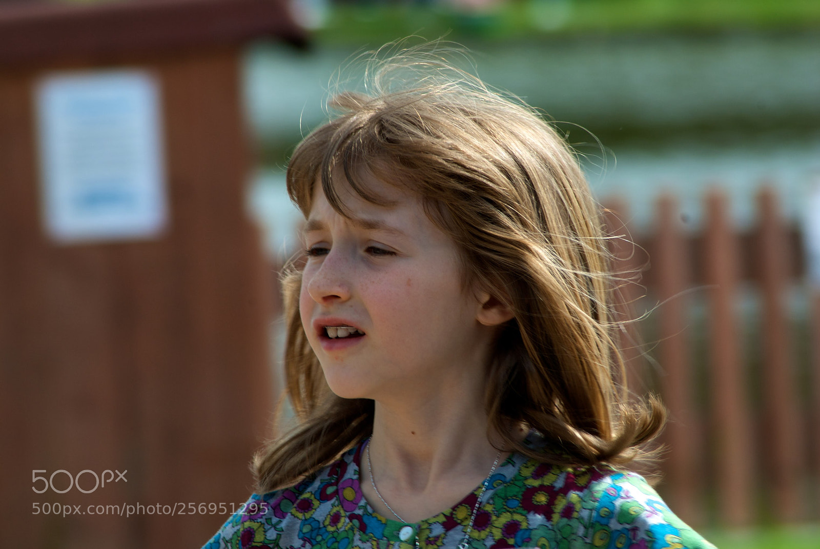 Nikon D60 sample photo. Version photography