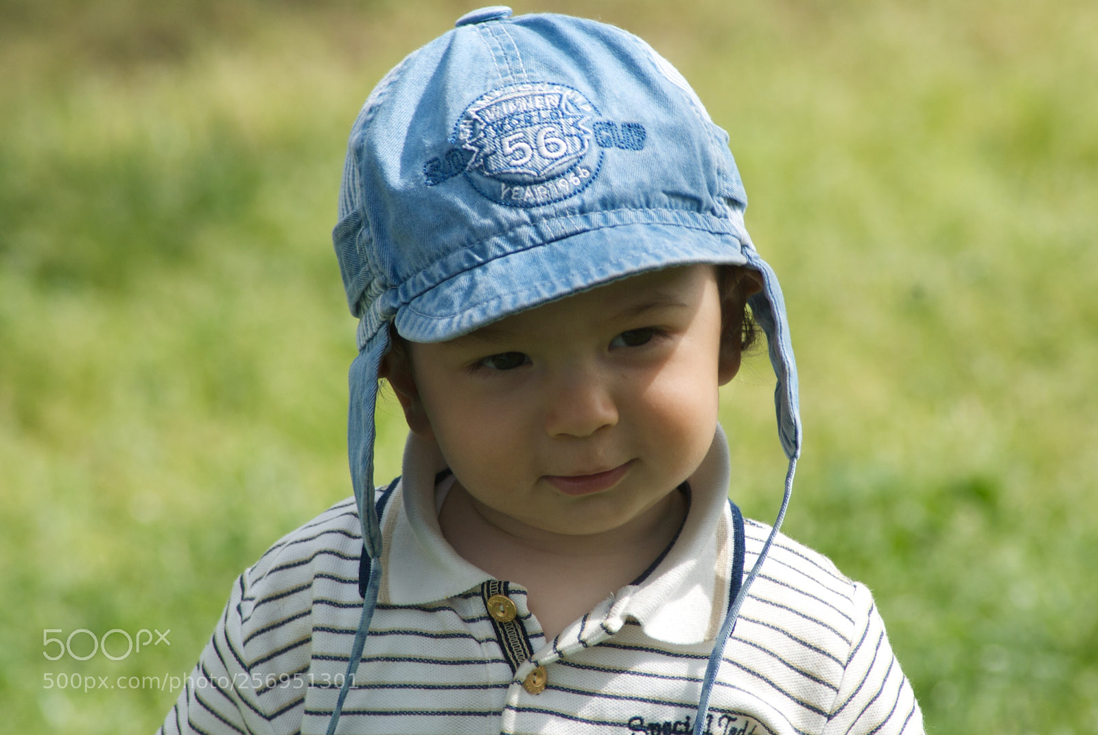 Nikon D60 sample photo. Version photography