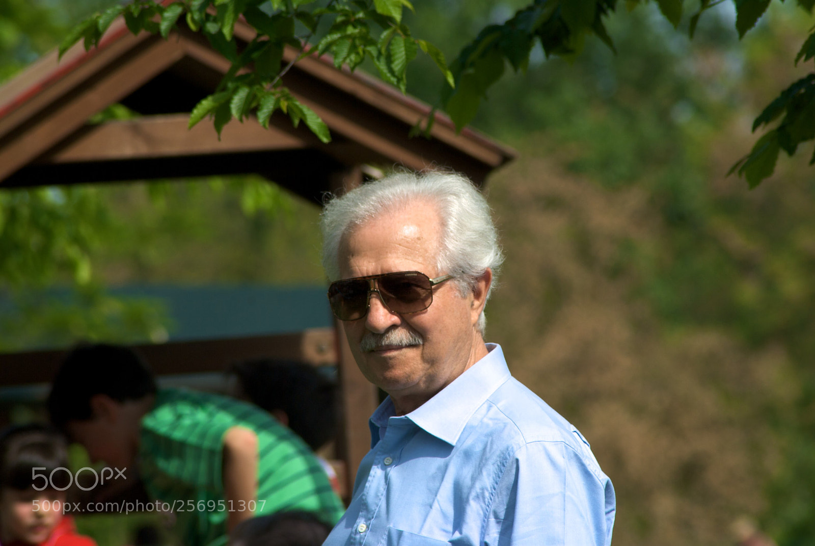 Nikon D60 sample photo. Version photography