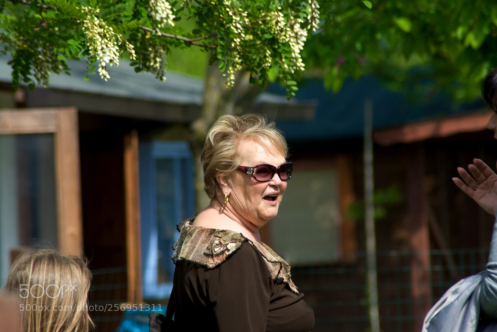 Nikon D60 sample photo. Version photography