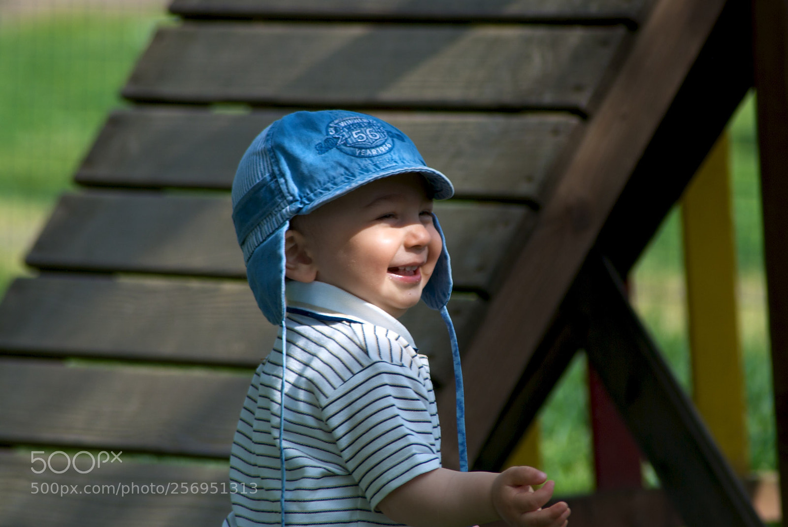 Nikon D60 sample photo. Version photography