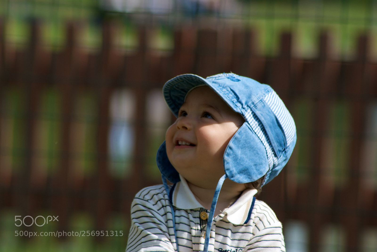 Nikon D60 sample photo. Version photography
