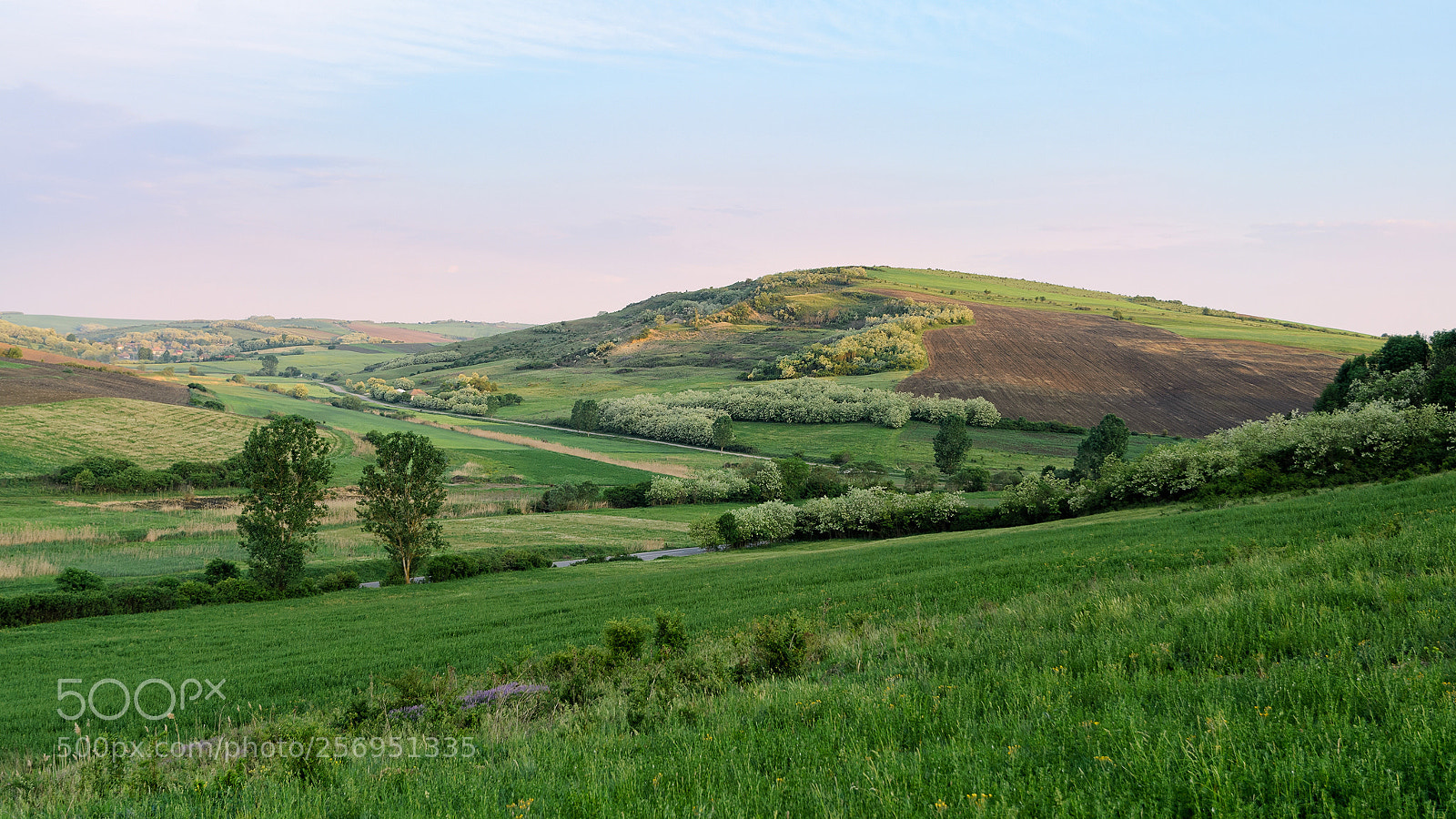 Nikon D7000 sample photo. Transylvanian morning photography