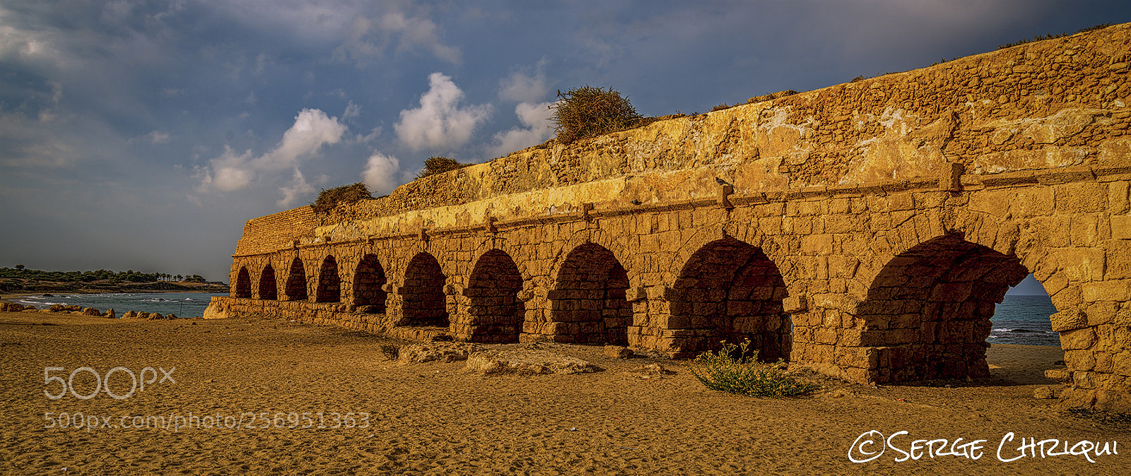 Nikon D800E sample photo. Morning light photography