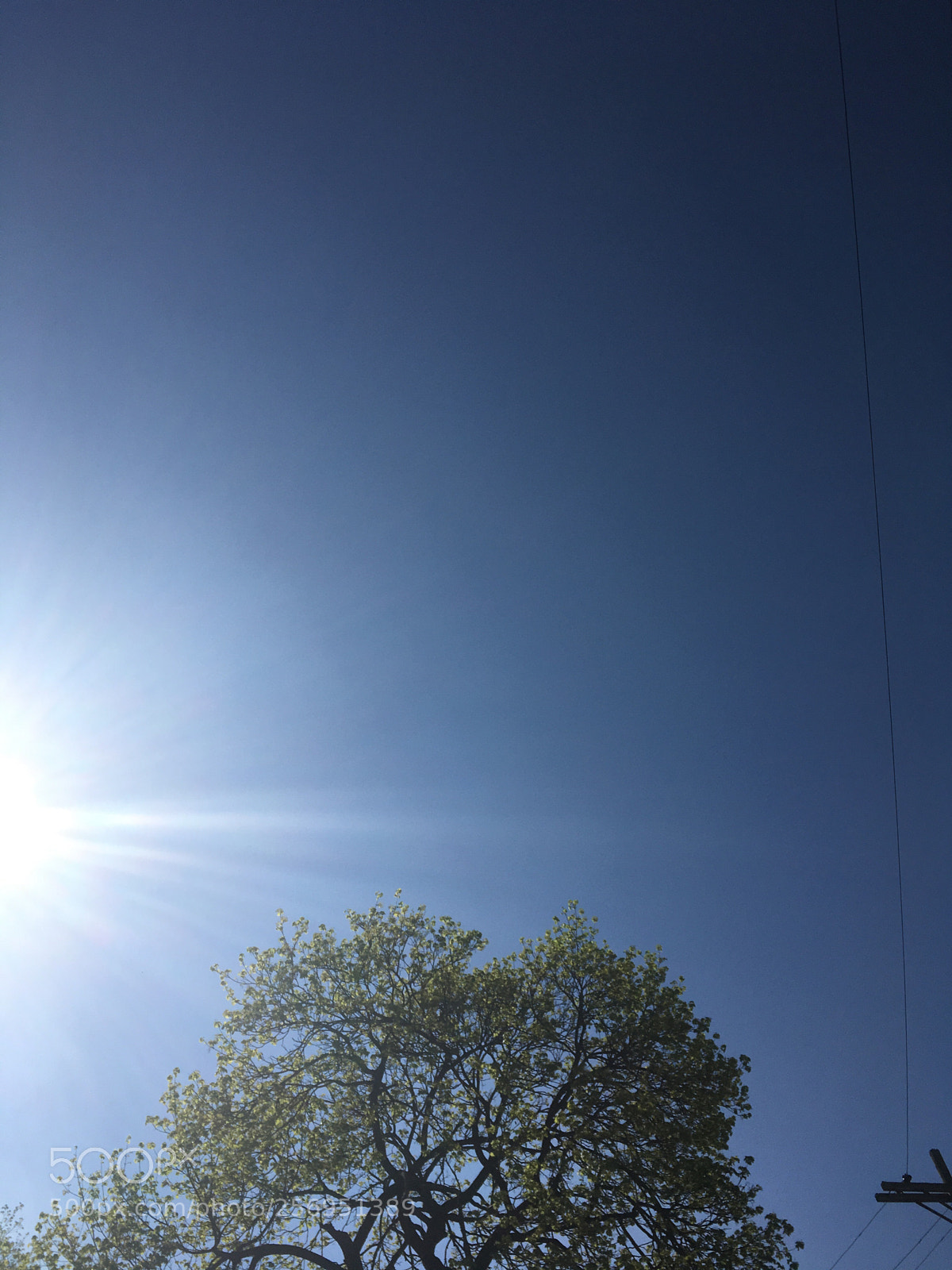 Apple iPhone SE sample photo. Untitled photography